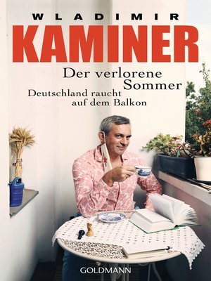 cover image of Der verlorene Sommer